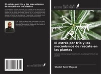 Sheikh Tahir Majeed (U. A.) | El EstréS Por FríO Y Los Mecanismos De Rescate...