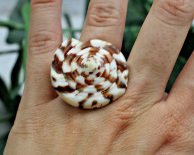 Natural Trochus Shell Seychelles Hololith Hand Carved  Ring; Size 5 - 7