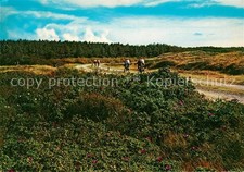 Texel Fletspad door Bos en Duin
