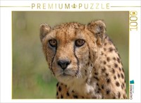 Calvendo Puzzle Cheetah | 1000 Pieces, Finished Size 25.2 × 18.9 In (64 × 48 Cm)