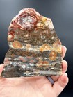 Orbicular Galaxy Rhyolite. Colorful. Nice! — photo 10