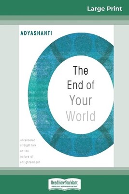 Adyashanti The End of Your World (Taschenbuch)