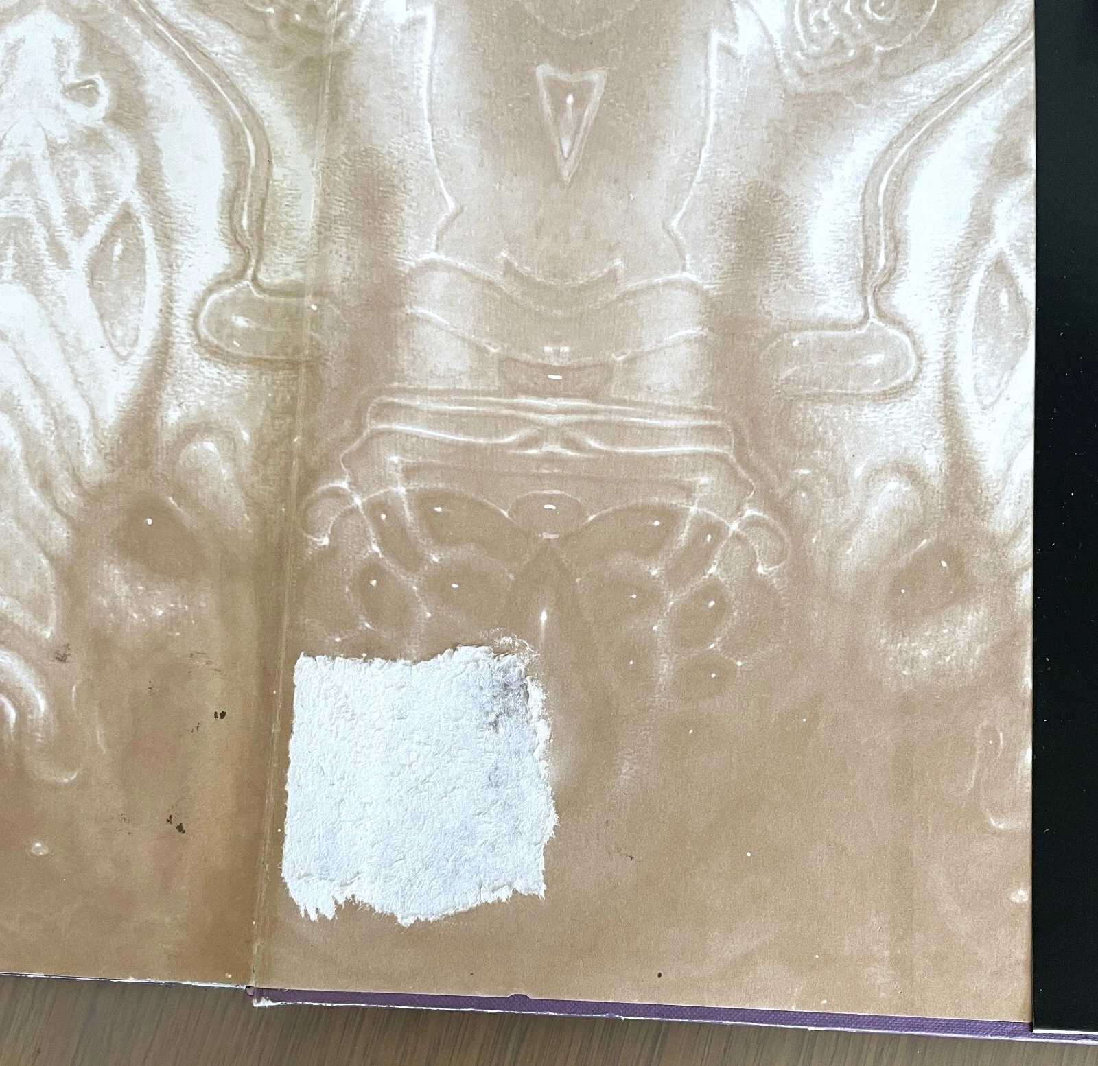 Picture 11 of 11