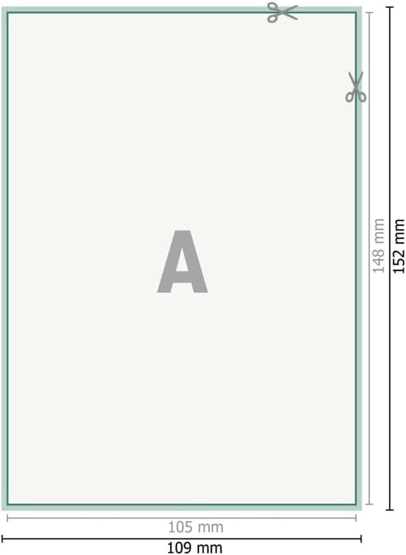 DYO LW Etichette Per Spedizioni Grandi, 54 X 101 , Rotoli Da 220 - Foto 4