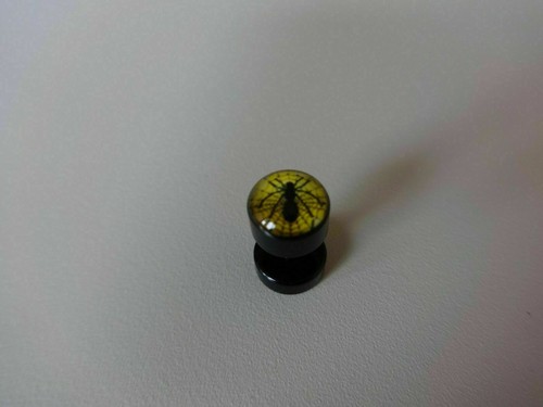 1 Paar Acryl Plug Ø 8mm football futebol Jaguar Gift Windows Mohn Libelle Zebra - Bild 27 von 36