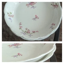 Antique Theodore Haviland Limoges Porcelain Set 2 Floral Bowl Lot Rose Flower