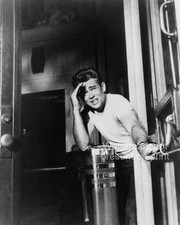 James Dean Photo 8x10 Rebel Without A Cause Griffith Park Observatory 1955 LA-1
