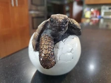 WINDSTONE EDITIONS CA PENA 1987 GALAPAGOS HATCHING BABY TURTLE EGG FIGURINE VTG