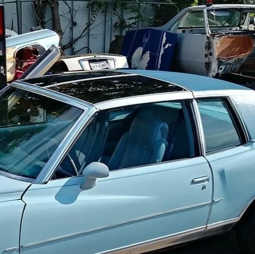 Chevrolet Monte Carlo : 1978, 1979, 1980, 1981, 1982-1984, Left, Driver, T-Top - Image 2 of 4