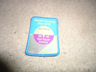 USED GIRLGUIDING WORLD THINKING DAY BADGE 2022 BADGE OUR WORLD OUR EQUAL FUTURE