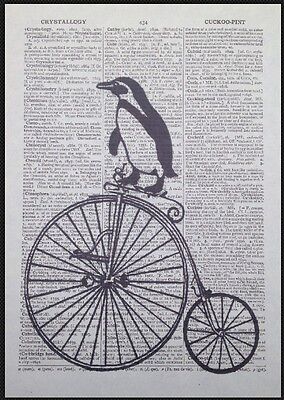Vintage Peacock Penny Farthing Print Dictionary Page Wall Art Picture Bicycle Bird