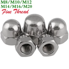 M8 M10 M12 M14 M16 M20 Fine Thread 304 Stainless Steel Dome Acorn Hex Cap Nuts