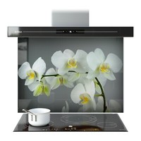 Kitchen Glass Splashback Toughened Cooker ANY SIZE White Orchid Flower Plant