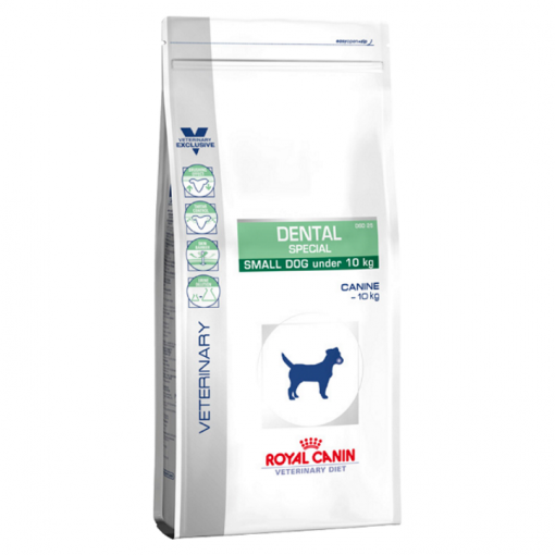 royal canin best price