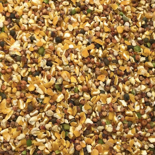 20KG Husk Free Deluxe Pecker Wild Bird Food Seed with Aniseed and
