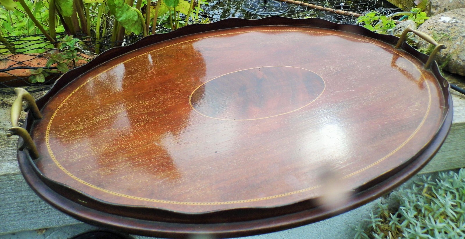 TRAY mahogany Edwardian Serving large 63x41 cm antique Tray eBay