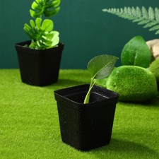  50 Pcs Pots Jardinage Petits De Pépinière Semis Fleur En Plastique