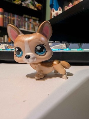 Littlest Pet Shop LPS Brown Shimmer Corgi #871 Paint Splatter Blue Eyes