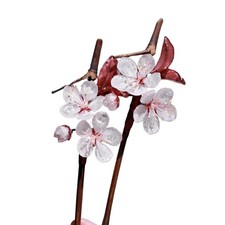 Chinese Plastic Cherry Blossoms Flower Hair Stick Hanfu Wood Hair Accessories