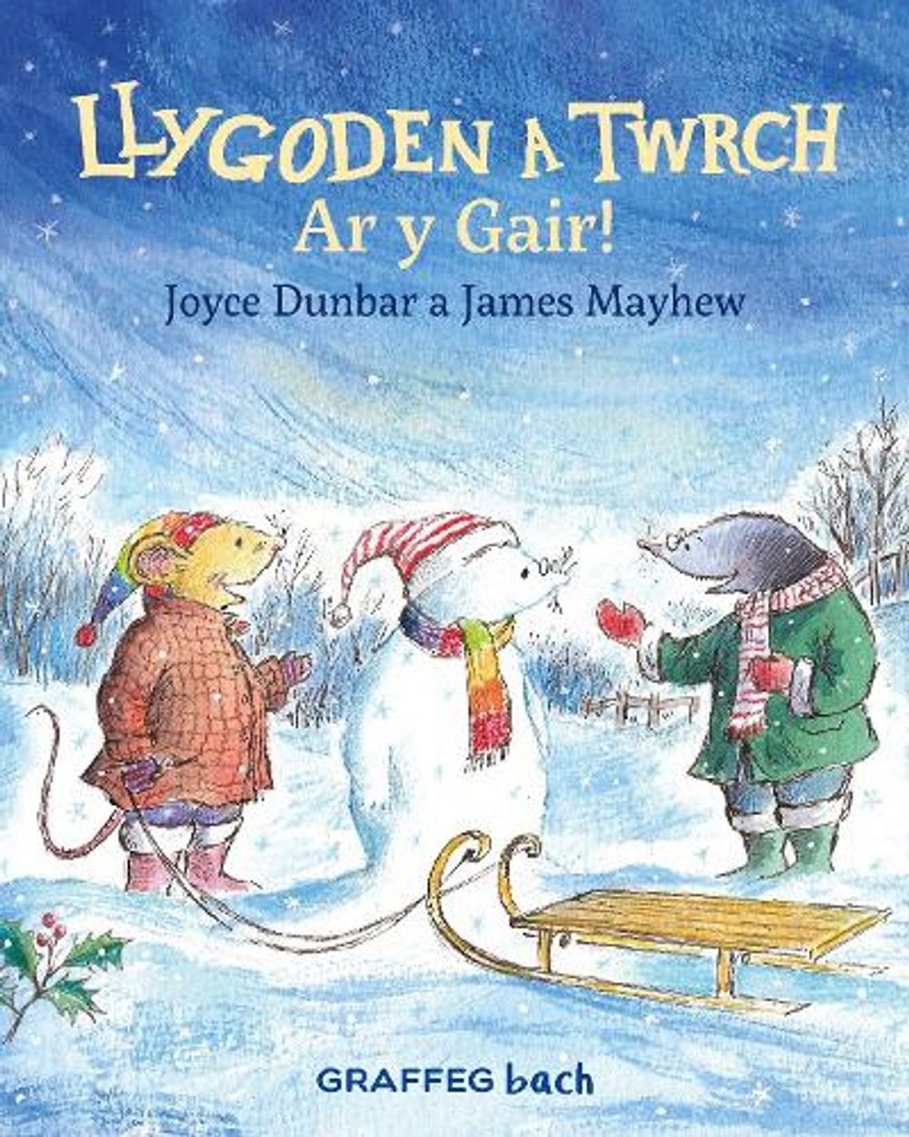 Llygoden a Twrch: Ar y Gair! by Joyce Dunbar (Welsh) Paperback Book