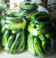 500 Boston Pickling Cucumber Seeds | NON-GMO Cucumber Seeds (500 Seeds)
