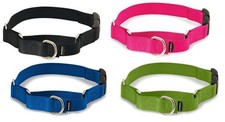 Petsafe Martingale Quick Snap Dog collar Training Petite 4 sizes 4 colors