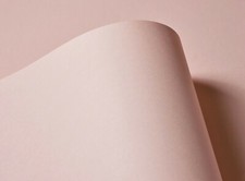 Extract Shell Pale Pink Paper Contains Recycled Coffee Cups 130gsm 10 Sheets