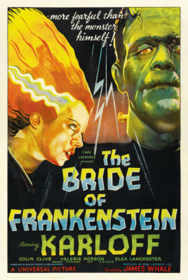 #ad #ad The Bride of Frankenstein Movie Poster 24quot; x 36quot; $14.49