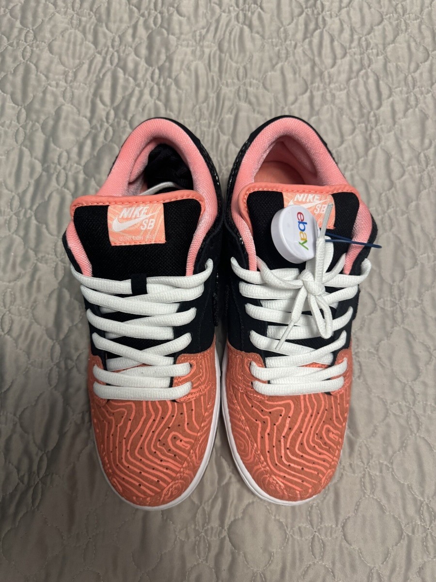 Size 8.5 - Nike Premier x Dunk Pro SB Low Fish Ladder | eBay