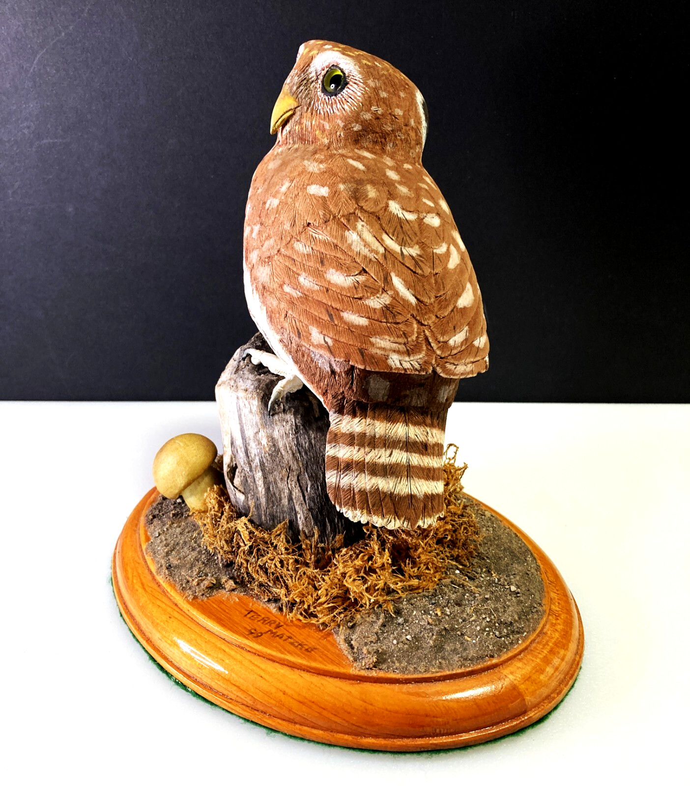 BLIND AWARD-WINNING MASTER CARVER Terry Matzke 7.5" Ferruginous Pygmy Owl
