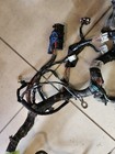 Picture 12 of 20