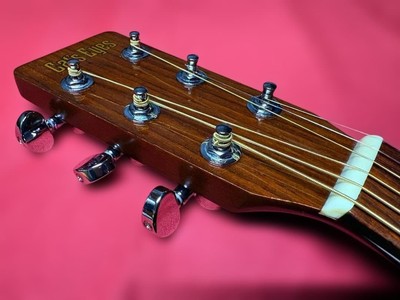Super Fine Veneer Top Exactly D18 Cat'S Eye Ce-400Cf Loud