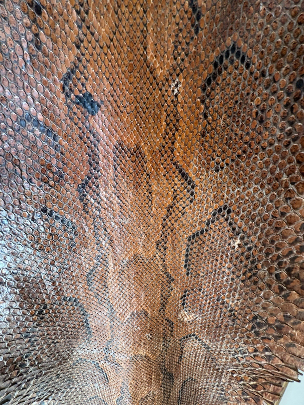 Vintage Python Snakeskin Leather Real Full Size S… - image 5