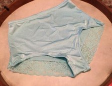 Rhonda Shear Aqua Blue Smooth Pin-up Back Lace Trim Brief Panty New