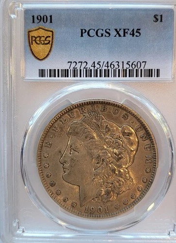 1901-P PCGS XF-45 Gold Shield Morgan Dollar, lustrous with light steel tone #231