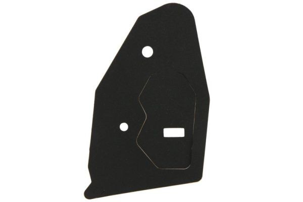 Left BLIC 5402-19-1493501P Gasket, tail light assembly for TOYOTA