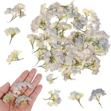 100 Pcs Real Dried Hydrangea Flowers, Natural Blue Dried Pressed Flowers for ...