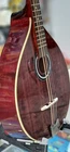 "Red" Irish Bouzouki,NEW, solid wood (spruce top)