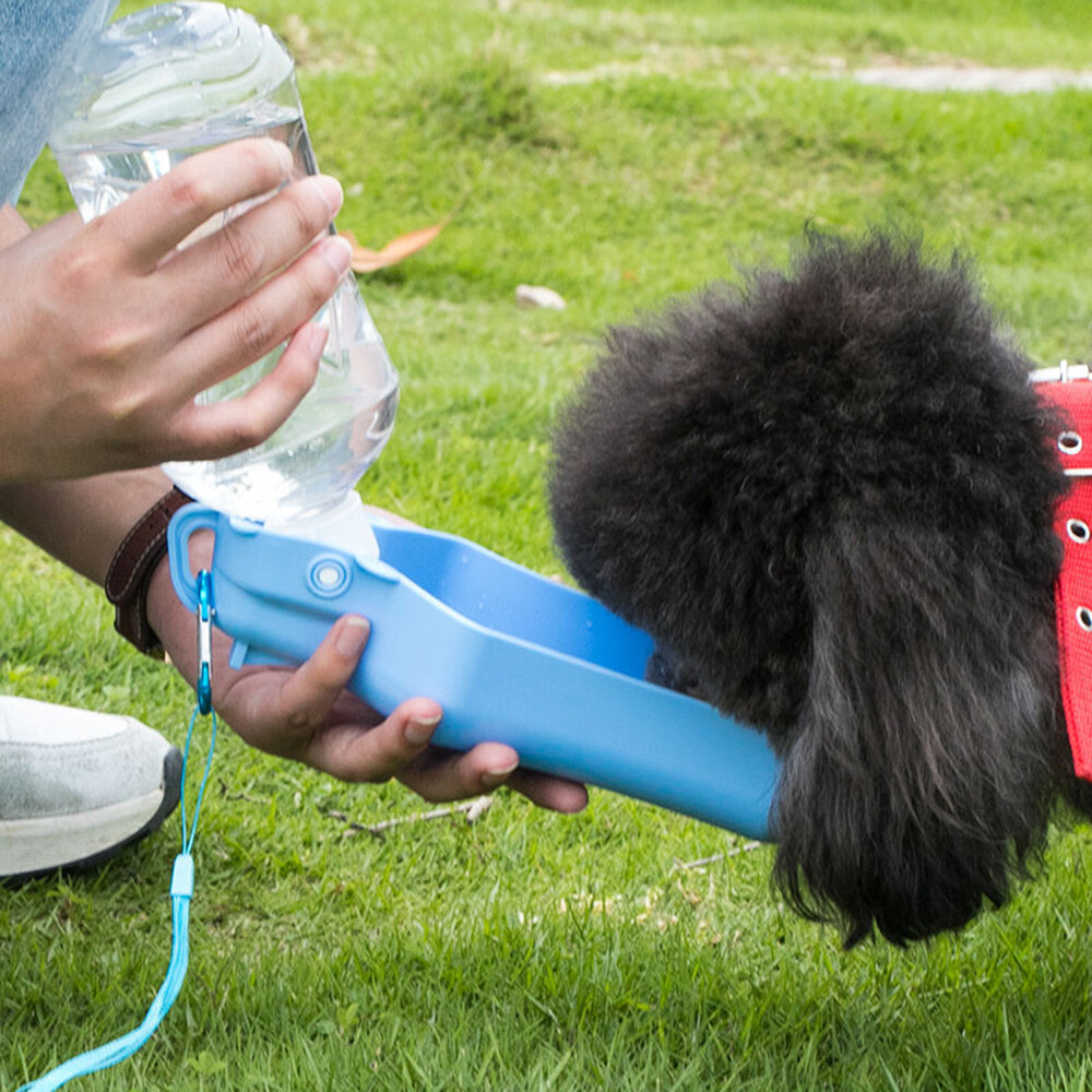 Borraccia Portatile Per Cani: Le Igliori Da Viaggio