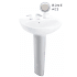 Toto PT243-03 SupremeÃ‚Â® (Pedestal Base) Bone, Pedestal Sinks - Vitreous China