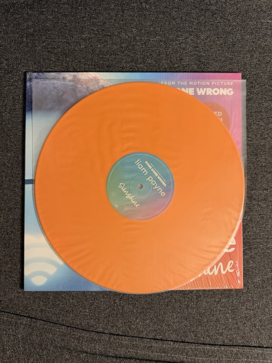 Liam Payne Signed Sunshine Vinyl Insert and Record | eBay