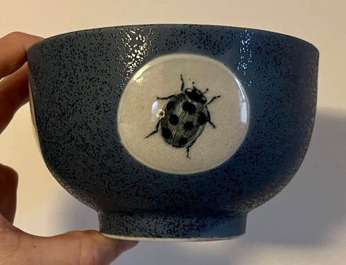 Art Pottery Bowl Blue & White Glaze Butterfly Lady Bug Dragon Fly Bee Insects - Picture 5 of 11