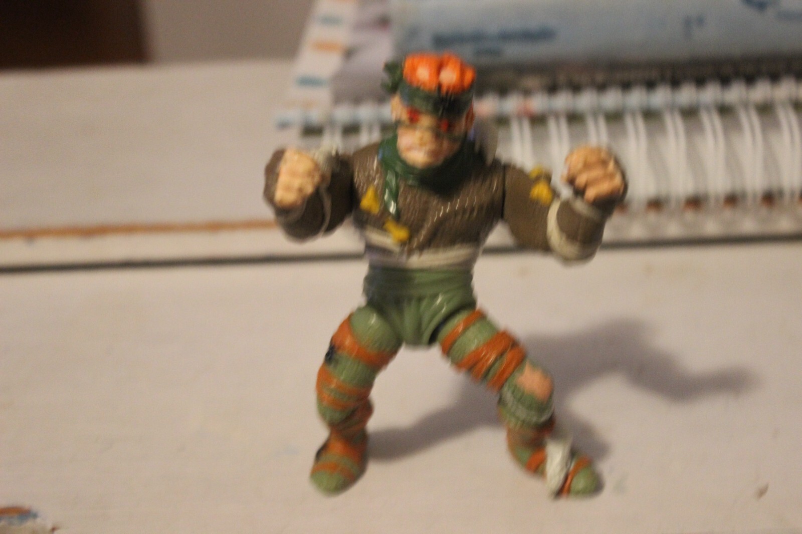 Picture 6 of 11