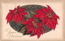 Vintage Winsch Christmas Postcard of Beautiful Poinsettias - No. 4151