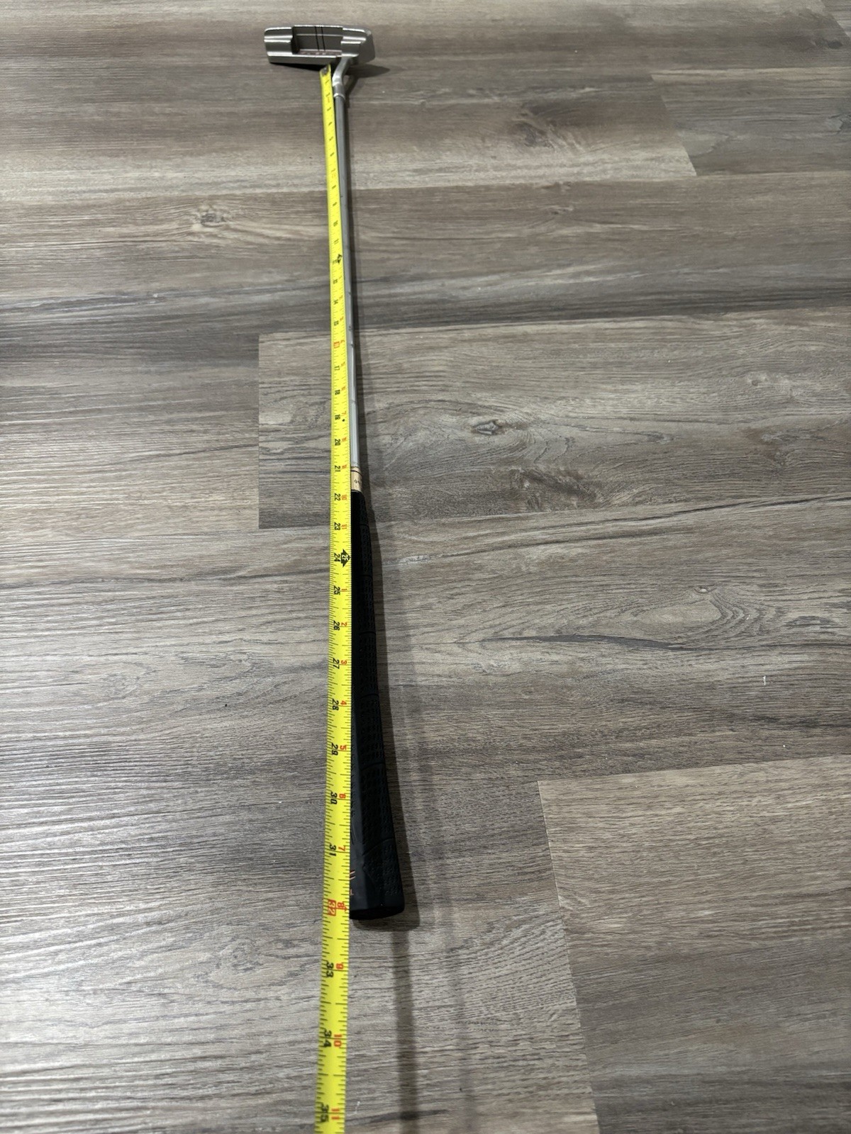 Foto 11 di 11