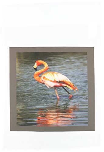 3dRose fl_45001_1 Red Flamingo Garden Flag 12 by 18-Inch