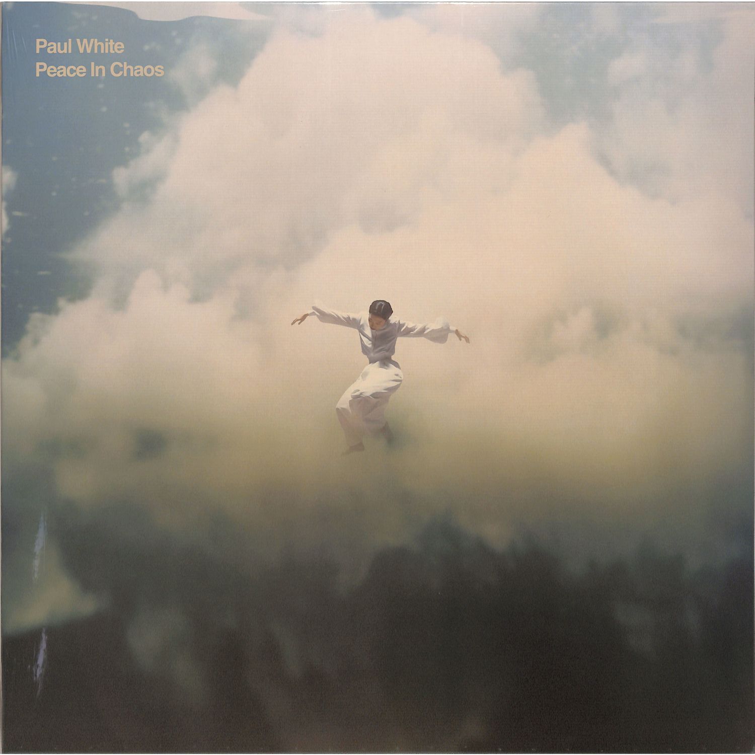 Paul White / PEACE IN CHAOS (LP) / R&S Records / RS24LP1 / 05264881 / 12 Inch