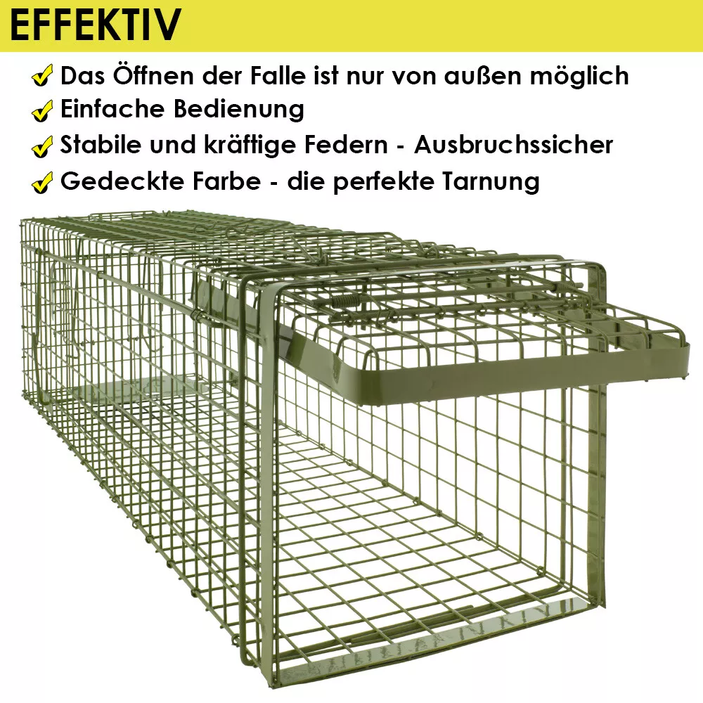 Bild 2 von 6