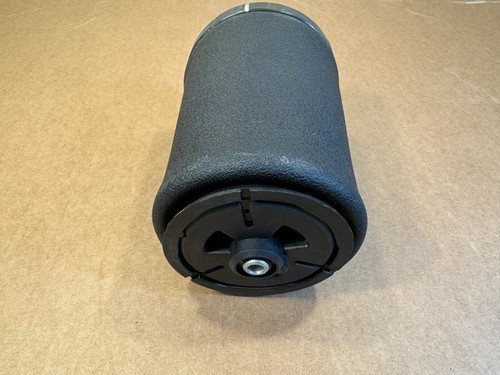 ┥ RESORTE DE SUSPENSIÓN NEUMÁTICA TRASERA DERECHA DISEÑO DE FABRICANTE FABRICANTE DE EQUIPOS ORIGINALES BMW 5 E39 37121094614 - Imagen 10 de 12