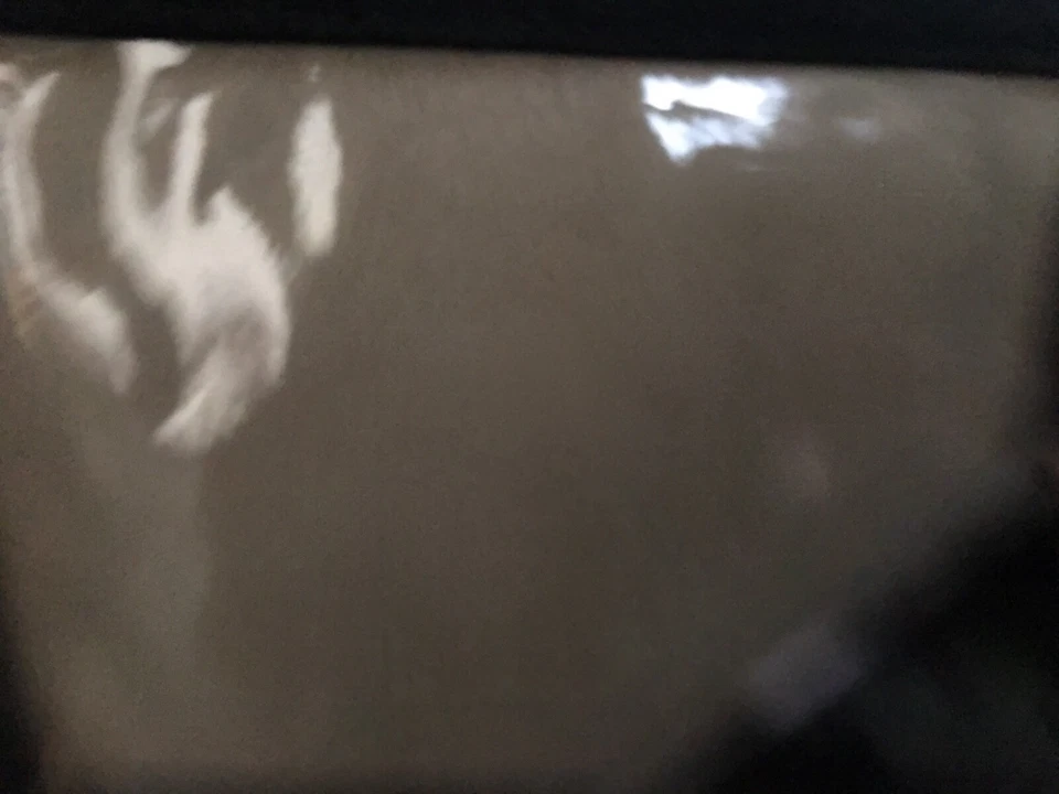 CORTINAS WATERFORD ABRIELLE ESCAPARATE 4 piezas champán nuevo en paquete $215 Foto 4 de 4